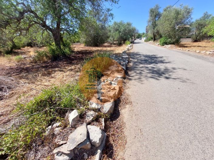 Image No.11-Plot for sale