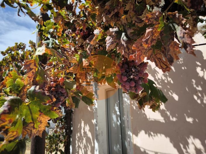 Image No.5-3 Bed House for sale