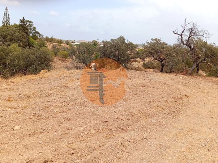 Image No.2-Plot for sale