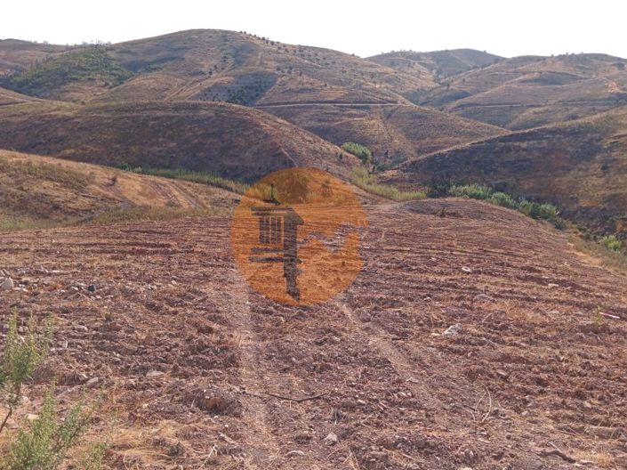 Image No.2-Plot for sale