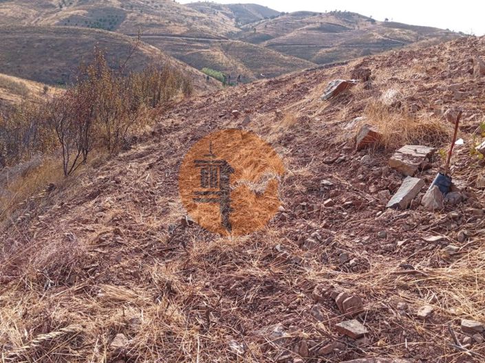 Image No.3-Plot for sale