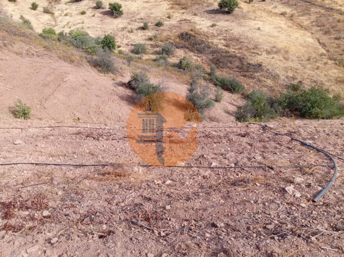 Image No.5-Plot for sale