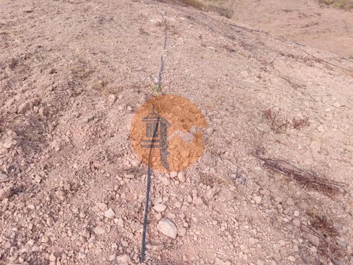 Image No.6-Plot for sale