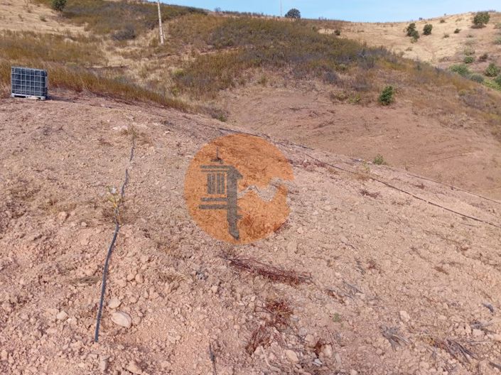 Image No.8-Plot for sale