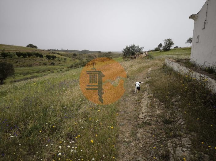 Image No.11-Plot for sale