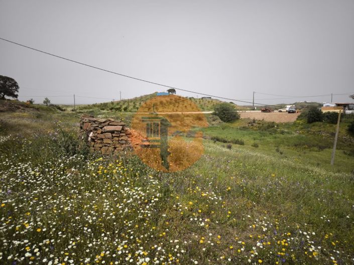 Image No.24-Plot for sale