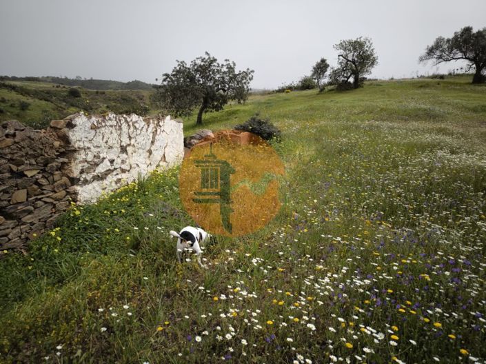 Image No.28-Plot for sale