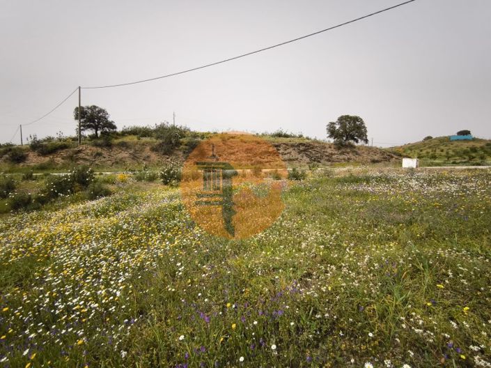 Image No.35-Plot for sale