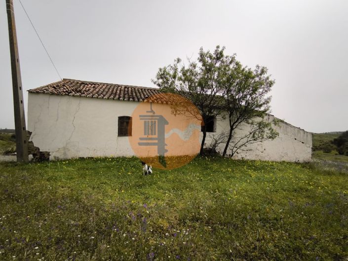 Image No.37-Plot for sale