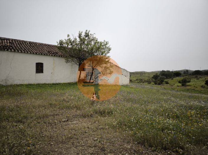 Image No.6-Plot for sale