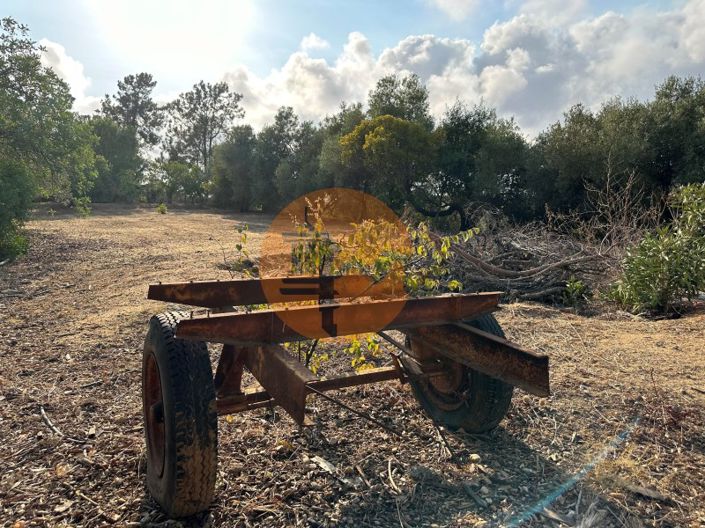 Image No.10-7 Bed House for sale