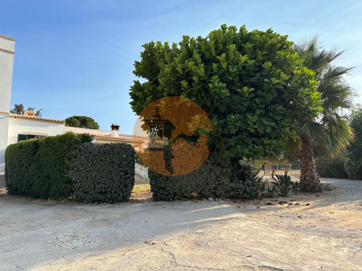 Image No.23-7 Bed House for sale