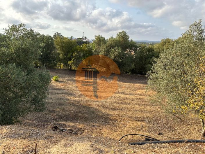 Image No.58-7 Bed House for sale