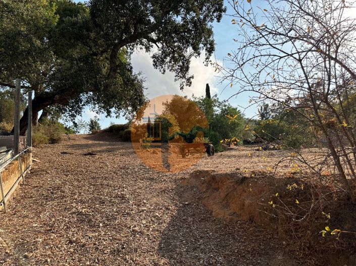 Image No.60-7 Bed House for sale