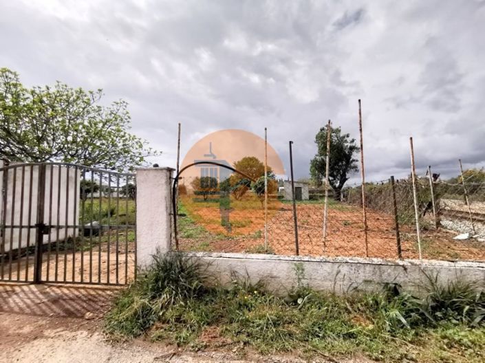 Image No.4-Plot for sale