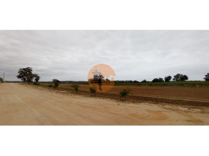 Image No.25-40 Bed Commercial for sale