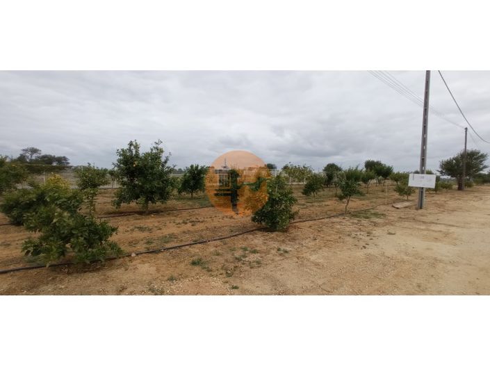 Image No.26-40 Bed Commercial for sale