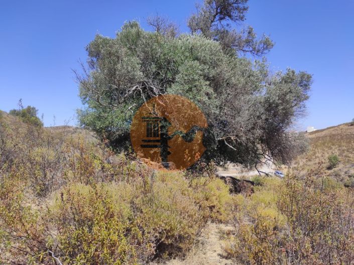 Image No.7-Plot for sale