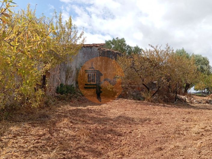 Image No.5-Plot for sale