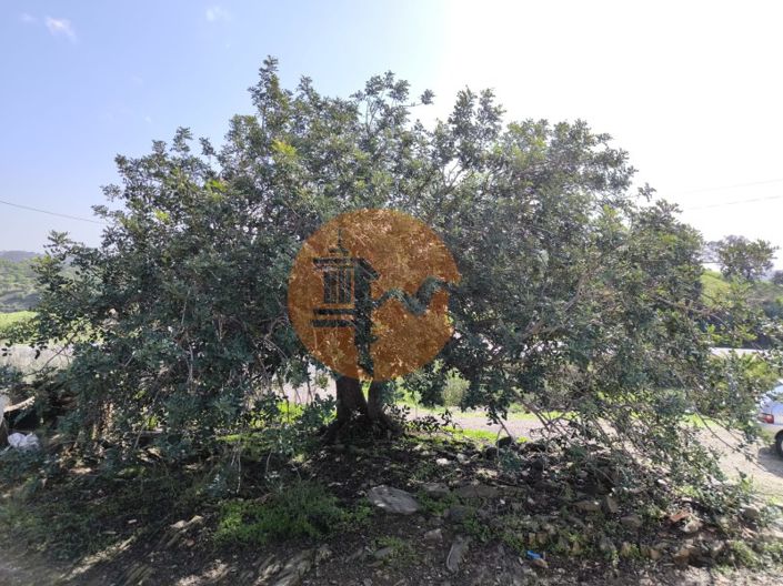 Image No.2-1 Bed House for sale