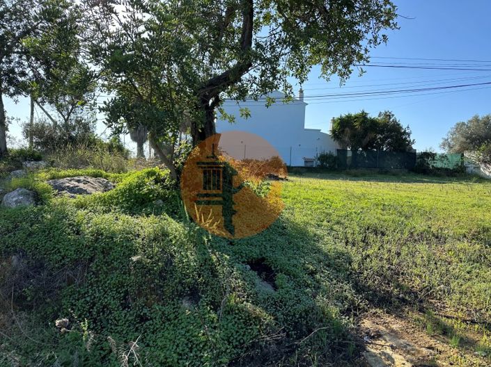 Image No.12-Plot for sale