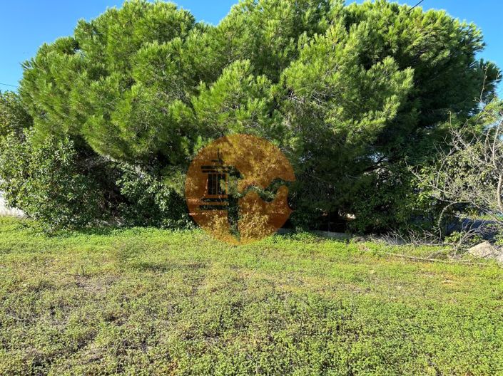 Image No.13-Plot for sale