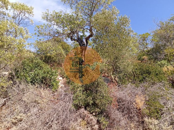 Image No.2-Plot for sale