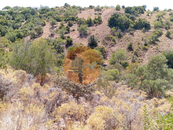 Image No.6-Plot for sale