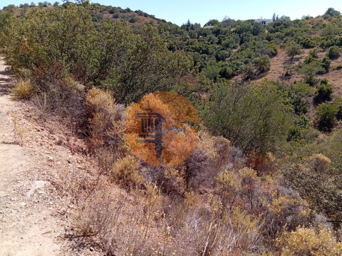 Image No.8-Plot for sale