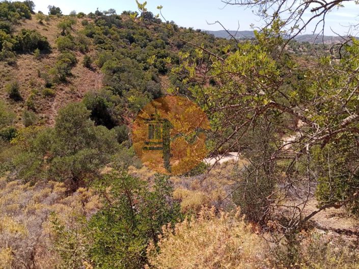 Image No.9-Plot for sale