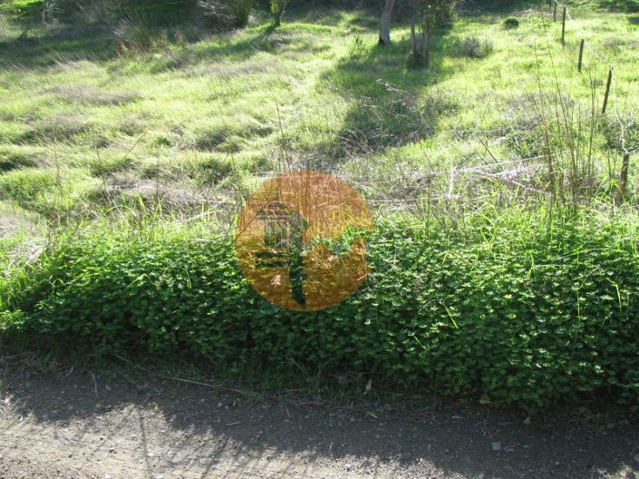 Image No.16-Plot for sale