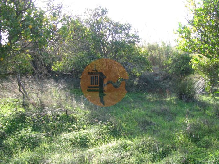 Image No.18-Plot for sale