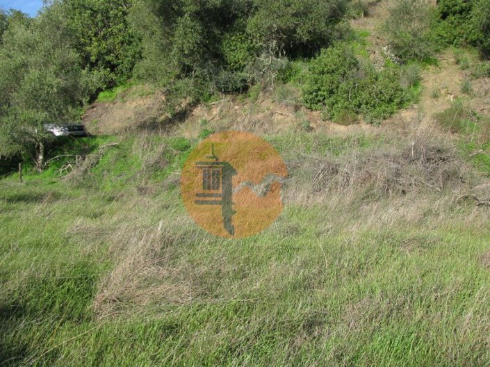 Image No.19-Plot for sale