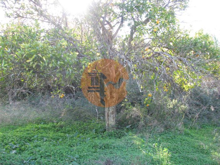 Image No.21-Plot for sale