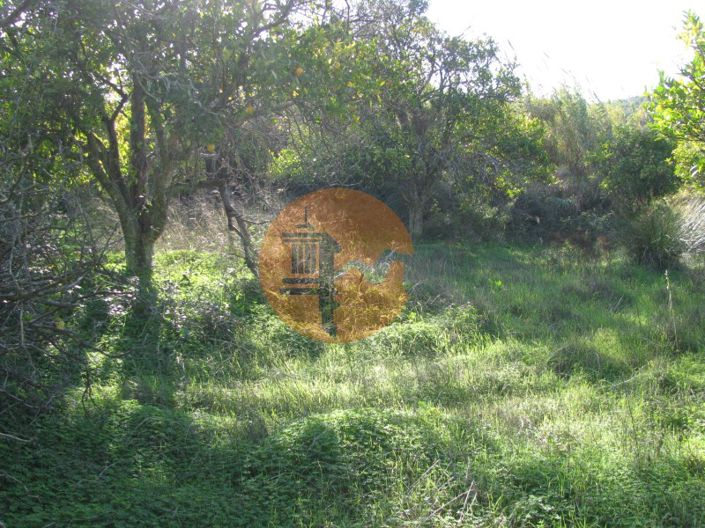 Image No.28-Plot for sale