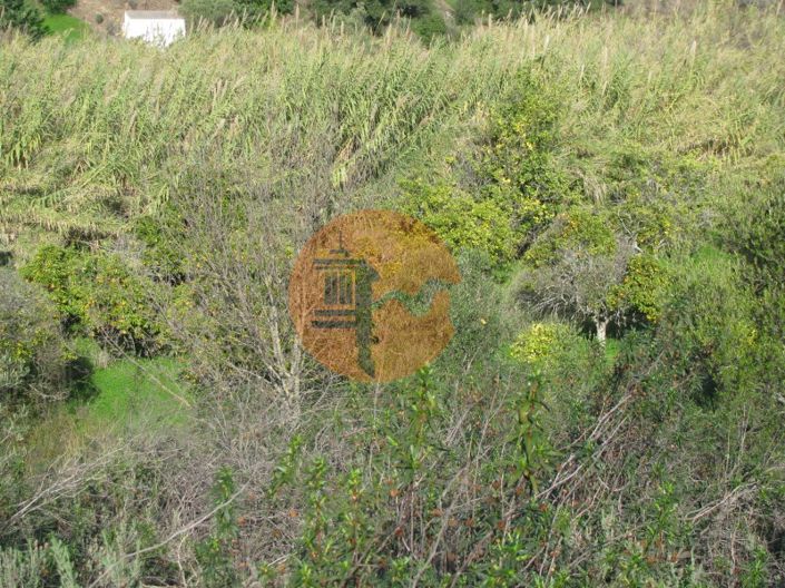 Image No.30-Plot for sale