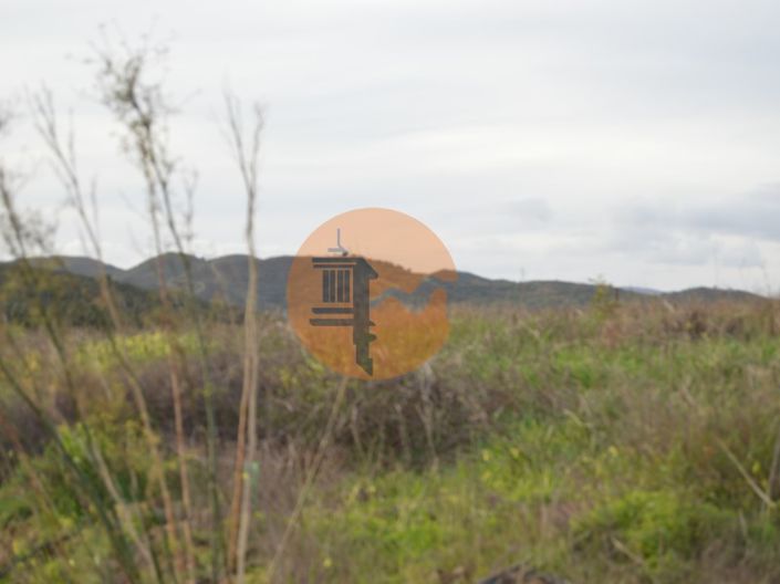 Image No.2-Plot for sale