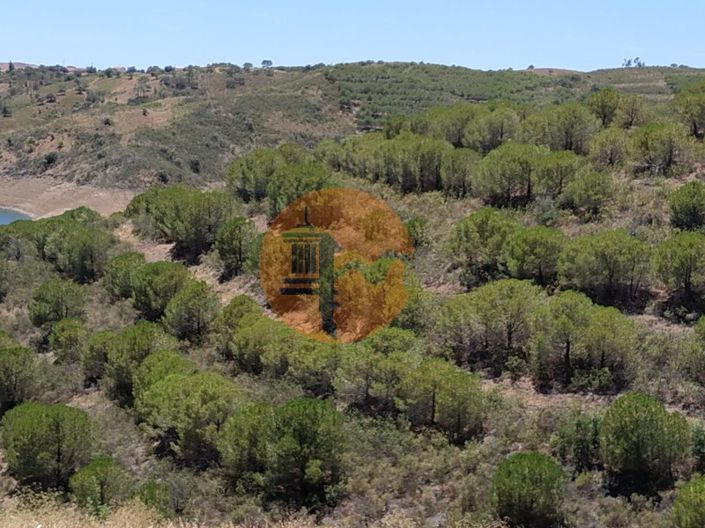 Image No.31-Commercial for sale