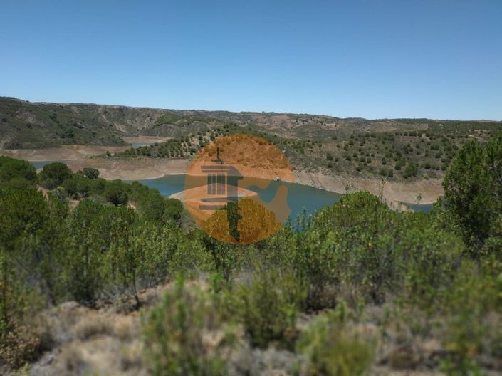 Image No.38-Commercial for sale