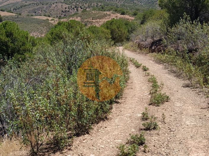 Image No.50-Commercial for sale