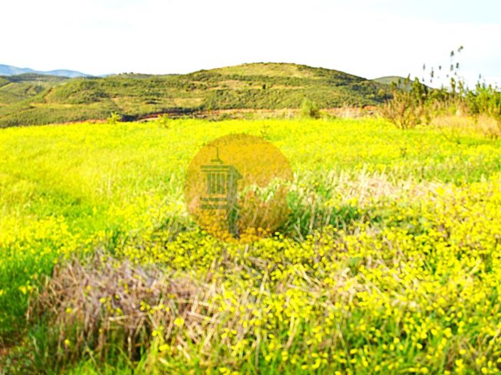 Image No.6-Plot for sale