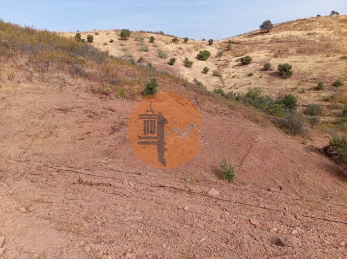 Image No.12-Plot for sale