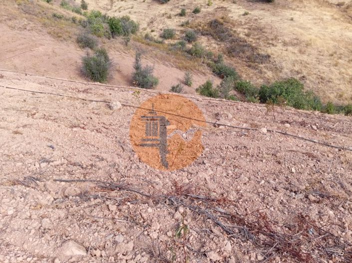 Image No.13-Plot for sale