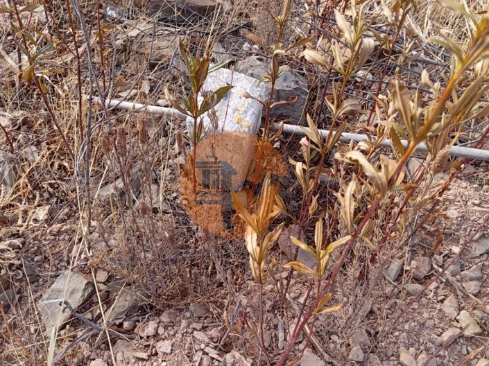 Image No.5-Plot for sale