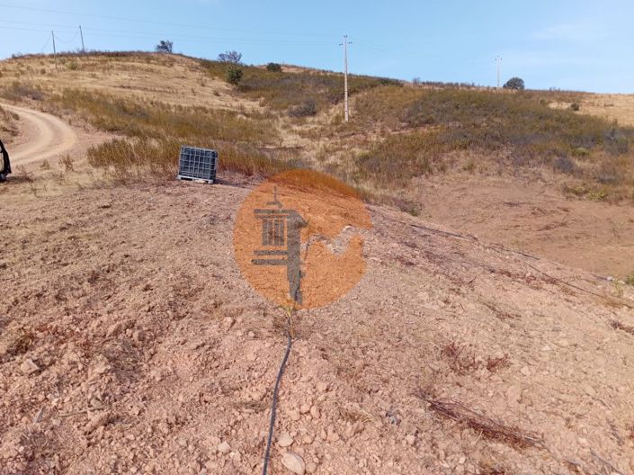 Image No.8-Plot for sale