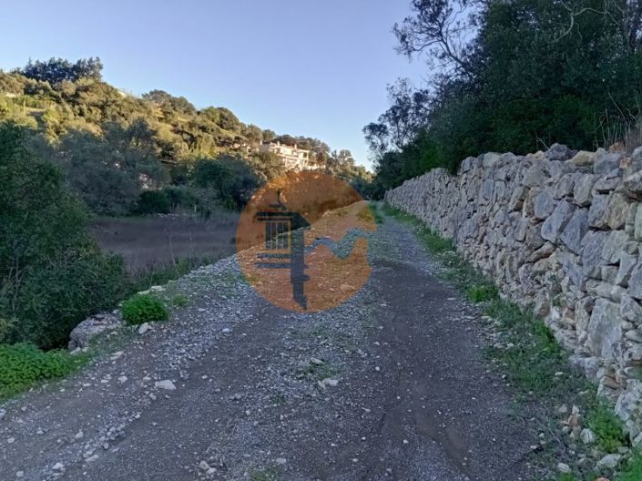 Image No.3-Plot for sale