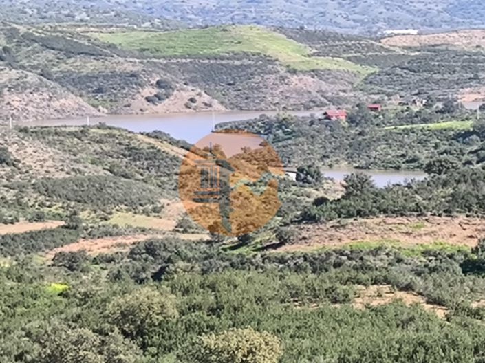 Image No.27-Plot for sale