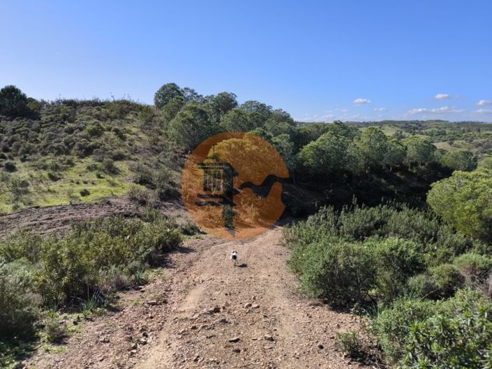 Image No.9-Plot for sale