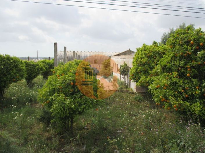 Image No.1-Plot for sale