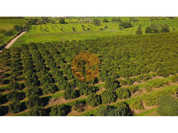 Image No.43-6 Bed Farmhouse for sale